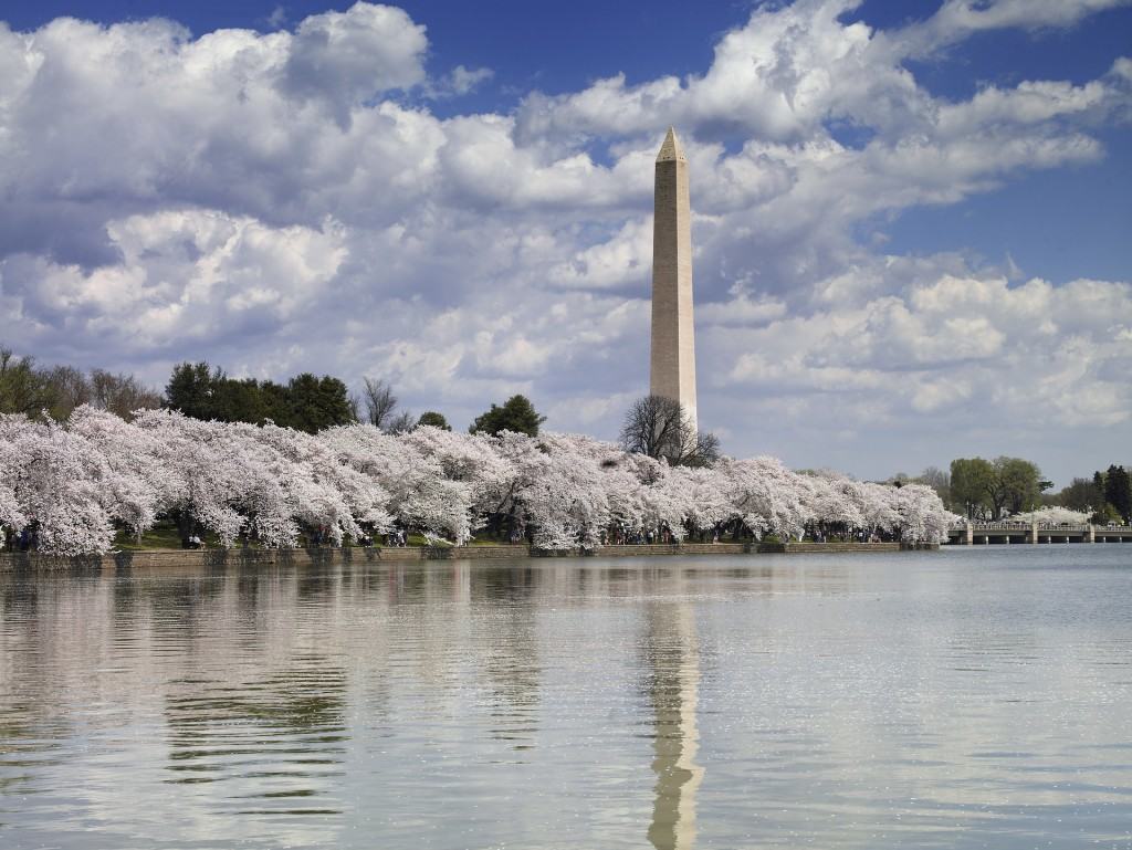 washington-monument