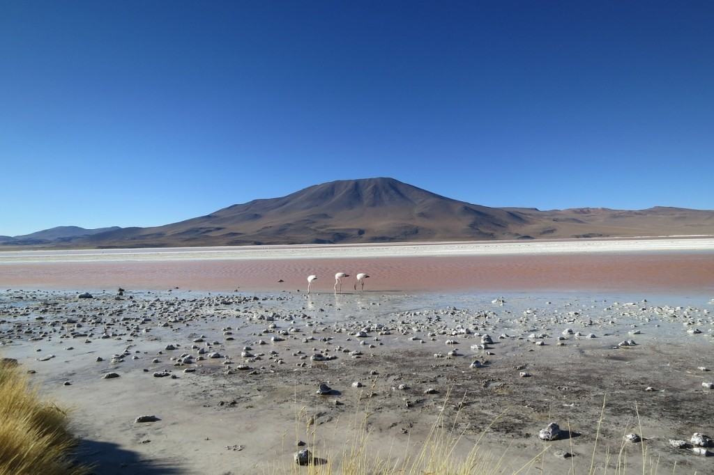 atacama-desert