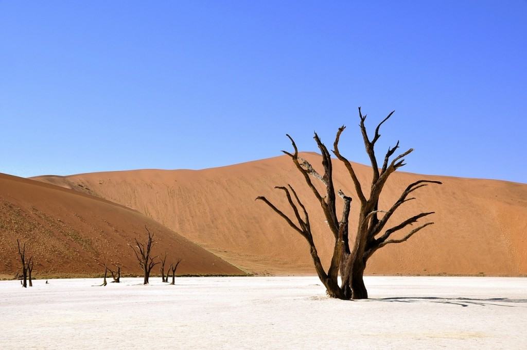 deserti-deadvlei-Namib