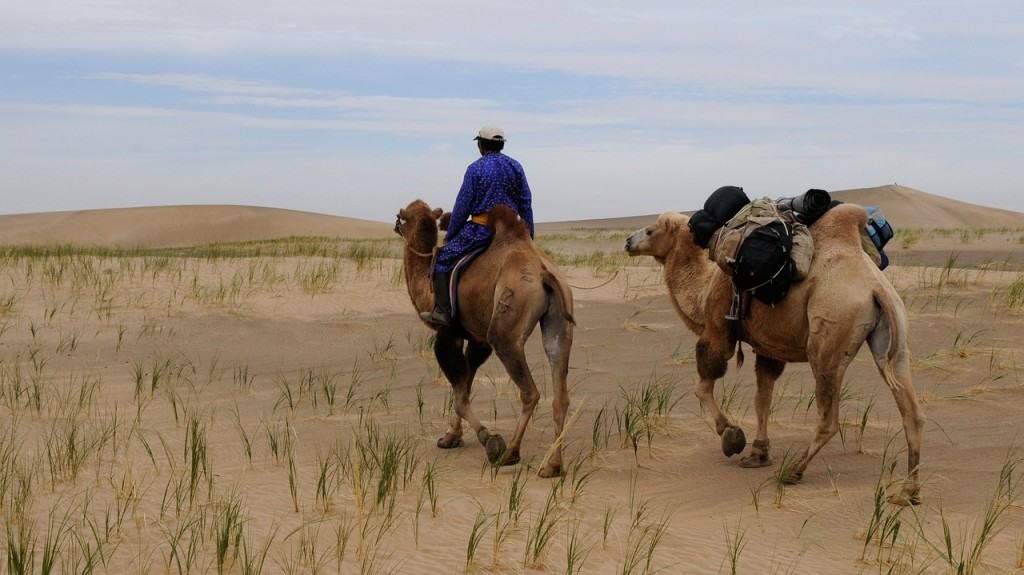 mongolia-nomadi-deserto